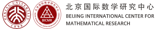 Peking University and Beijing International Center for Mathematical Research